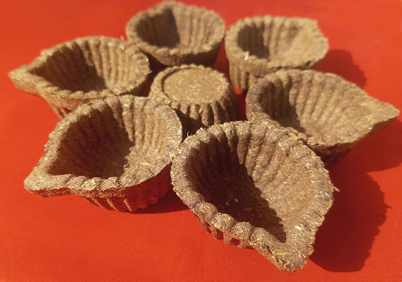 बदरिक्ष गौधन दिया